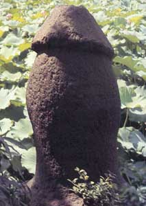 Pillar  Tokio