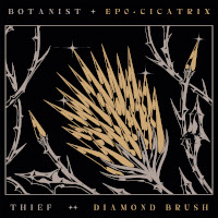 BOTANIST and THIEF - Cicatrix/Diamond Brush