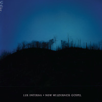 Lux Interna - New Wilderness Gospel