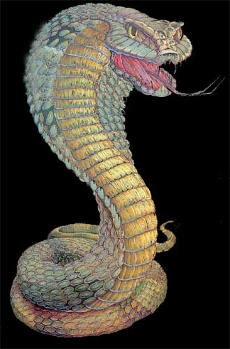 Mythologien